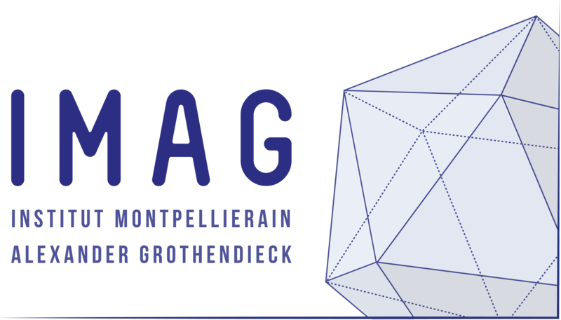 Logo IMAG